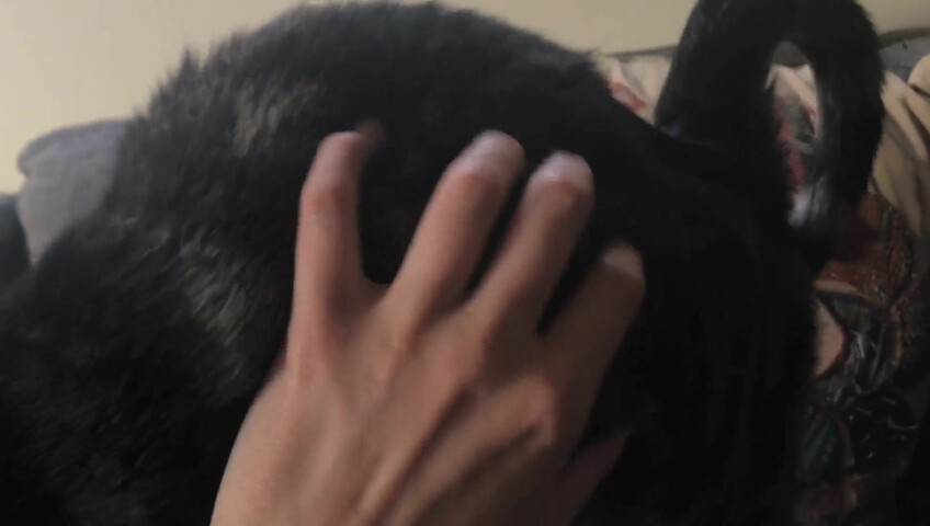 Rhonda ASMR - Furr Blanket