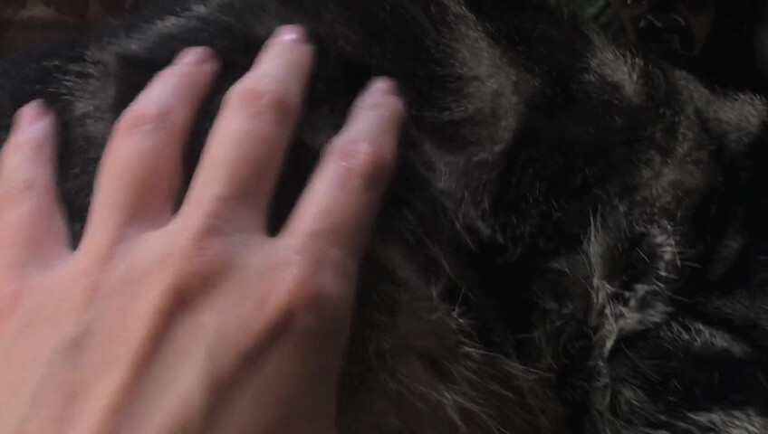 Rhonda ASMR - Furr Blanket