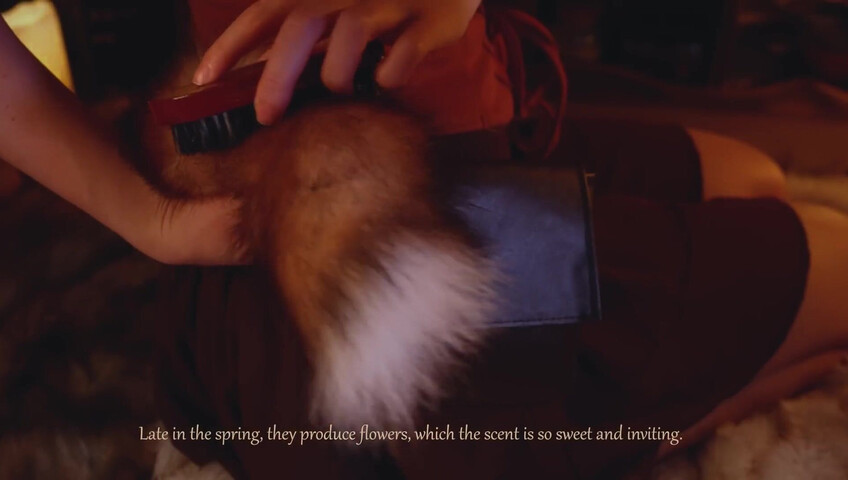 Maimy ASMR - La spa degli animaletti