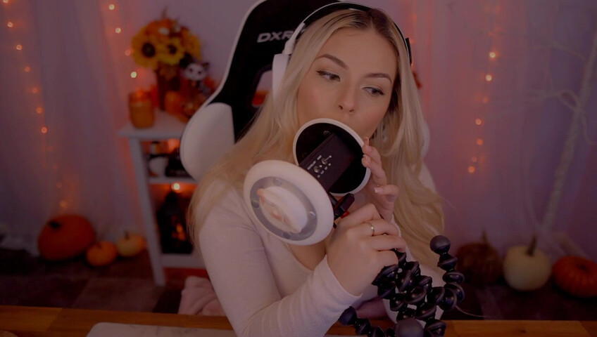 Papageientaucher-ASMR – Ohr-Lecken