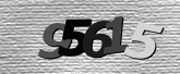 Obraz captcha