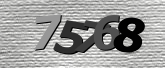 Obraz captcha