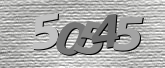 Obraz captcha