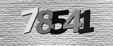 Obraz captcha