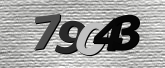 Obraz captcha