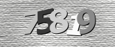 Obraz captcha