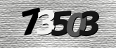 Obraz captcha