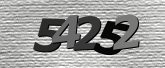 Obraz captcha