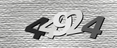 Obraz captcha