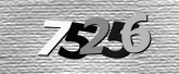 Obraz captcha
