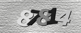Obraz captcha