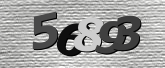 Obraz captcha