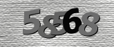 Obraz captcha