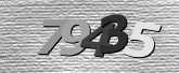 Obraz captcha