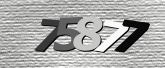 Obraz captcha