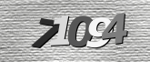 Obraz captcha
