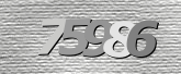 Obraz captcha