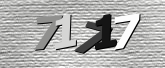 验证码图片